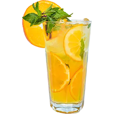 Цитрусовый мохито 480 мл Altyn açar 