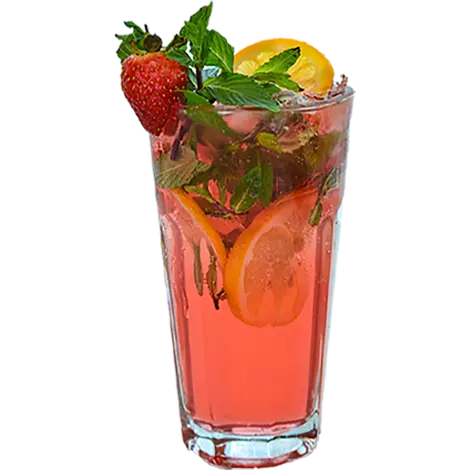 Barbaris limonad 480 ml Altyn açar 