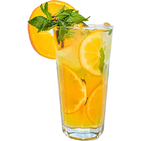 Sitrus mohito 480 ml Altyn açar 